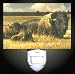 Buffalo Plains Decorative Night Light