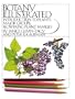 Botany Illustrated - Introduction to Plants, Major Groups, Flowering Plant