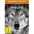 Wunderwelt der Tiere - W�lfe
