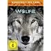 Wunderwelt der Tiere - W�lfe