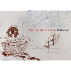Your Ear Knows Future [VINYL]
