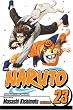 Naruto, Vol. 23: Predicament
