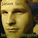 Jason Lang-Beautiful Disguise