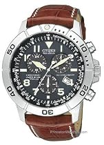 Citizen Eco-Drive Men's Perpetual Calendar Watch #BL5250-02L