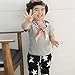 PanDaDa Baby Boys Harem Pants Stars Striped Fashion Flags Trousers Bottoms
