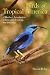 Books : Birds Of Tropical America