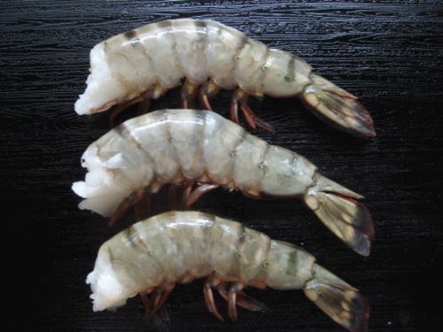 無頭えび　13/15サイズ 1.8kg 冷凍
