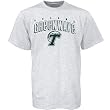 Tulane Green Wave Ash T-shirt