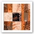 9 Patch VII - Limited Edition by Miguel Paredes 40"x40" Art Print Poster
