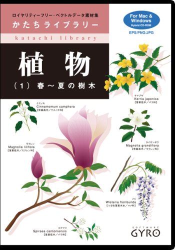 植物(1) 春〜夏の樹木
