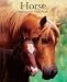 cover of Horse
