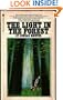 Light in the Forest