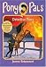 Search : Detective Pony (#17 Pony Pals)