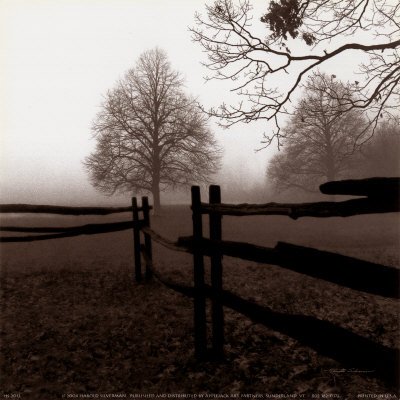 Fence in the Mist Art Poster Print by Harold Silverman, 8x8