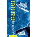 Brise glace