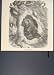 Black Bear Bears Winter Quarters Home Hibernation Print
