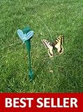 from Fluttering Butterfly Fluttering Butterfly