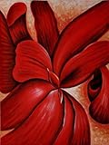 IMAGE OF Art Reproduction Oil Painting - Red Cannas - Extra Large 30