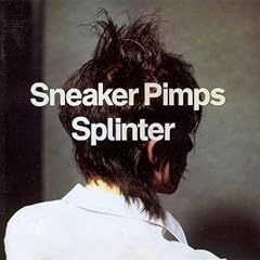 Splinter