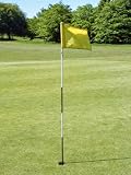 51gfJ842 WL. SL160  The Perfect Guide for Beginners Golf: Fix Your Imperfect Golf Swing