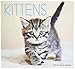 2016 Cute Kittens Calendar - 16-Month Wall Calendar Planner