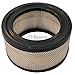 KOHLER 231847-S Engine Air Filter For K161 And K181