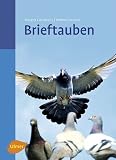 Brieftauben