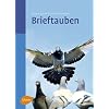 Brieftauben