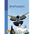 Brieftauben