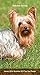 Yorkshire Terriers 2016 Two-Year Pocket Planner