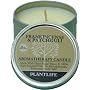 Frankincense & Patchouli Aromatherapy Candle- 24 hr. burn time- made with 100% pure essential oils