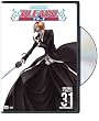 Bleach, Vol. 31