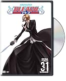 Bleach, Vol. 31
