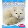 Arctic Foxes (Polar Animals)