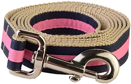 Paw Paws USA Prep School Jolene Dog Leash, Large, Multicolored
