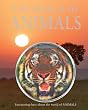 World of Animals