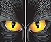Cat-rageous Window Posters