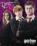 Click for larger image of Posters: Harry Potter Mini Poster - And The Order Of The Phoenix, Trio (20 X 16