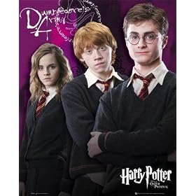 Posters: Harry Potter Mini Poster - And The Order Of The Phoenix, Trio (20 X 16
