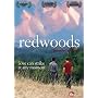 Redwoods