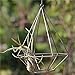 NCYP Rustic Style Wall Freestanding Hanging Diamond Tear Drop Shape Metal Tillandsia Air Plant Rack Wedding Decor Holder Bronze Color 6.3inches Width x 6.3inches Width x 7.87inches Height No Plants