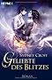 Geliebte des Blitzes: Roman
