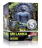 Exo Terra Sri Lanka Rainforest Terrarium Kit