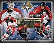 Florida Panthers 11X14 Plaque - Nhlpa Players W/Arena