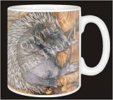 Review Advanta  / BABY HEDGEHOG Sleeping Coffee Mug