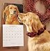 boxer39 - 2010 Wall Calendars Breed Boxer