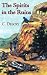 The Spirits in the Ruins (Sedona Mysteries)