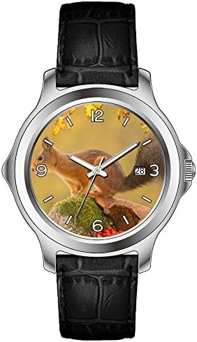 lvlp Men's Sentry 42mm Stainless Steel Leather Quartz Movement Watch &amp;49