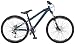 09 Ruckus SX Bike