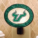 South Florida Bulls Art Glass Night Light
